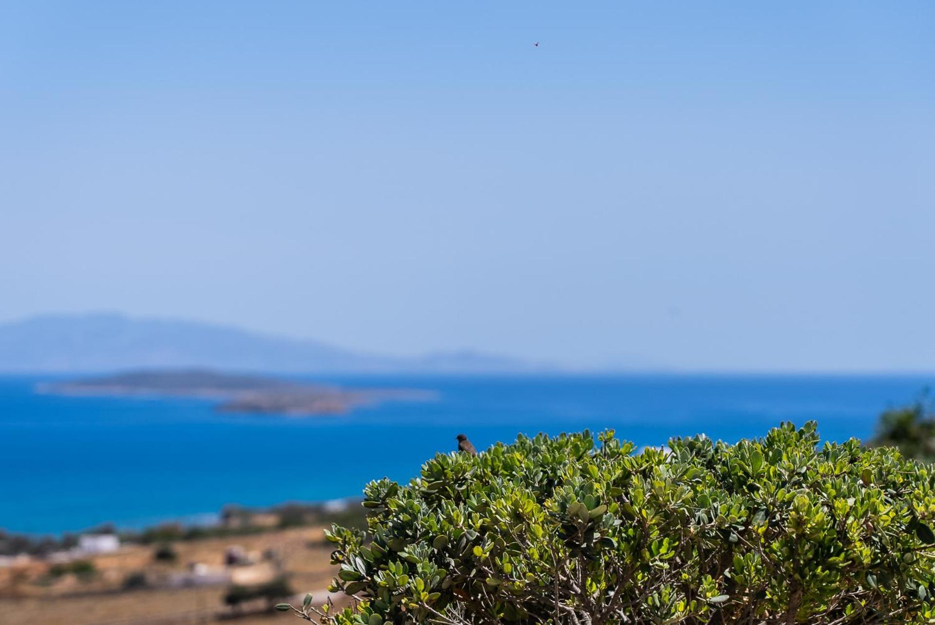 Lagadia Village Antíparos Exterior foto