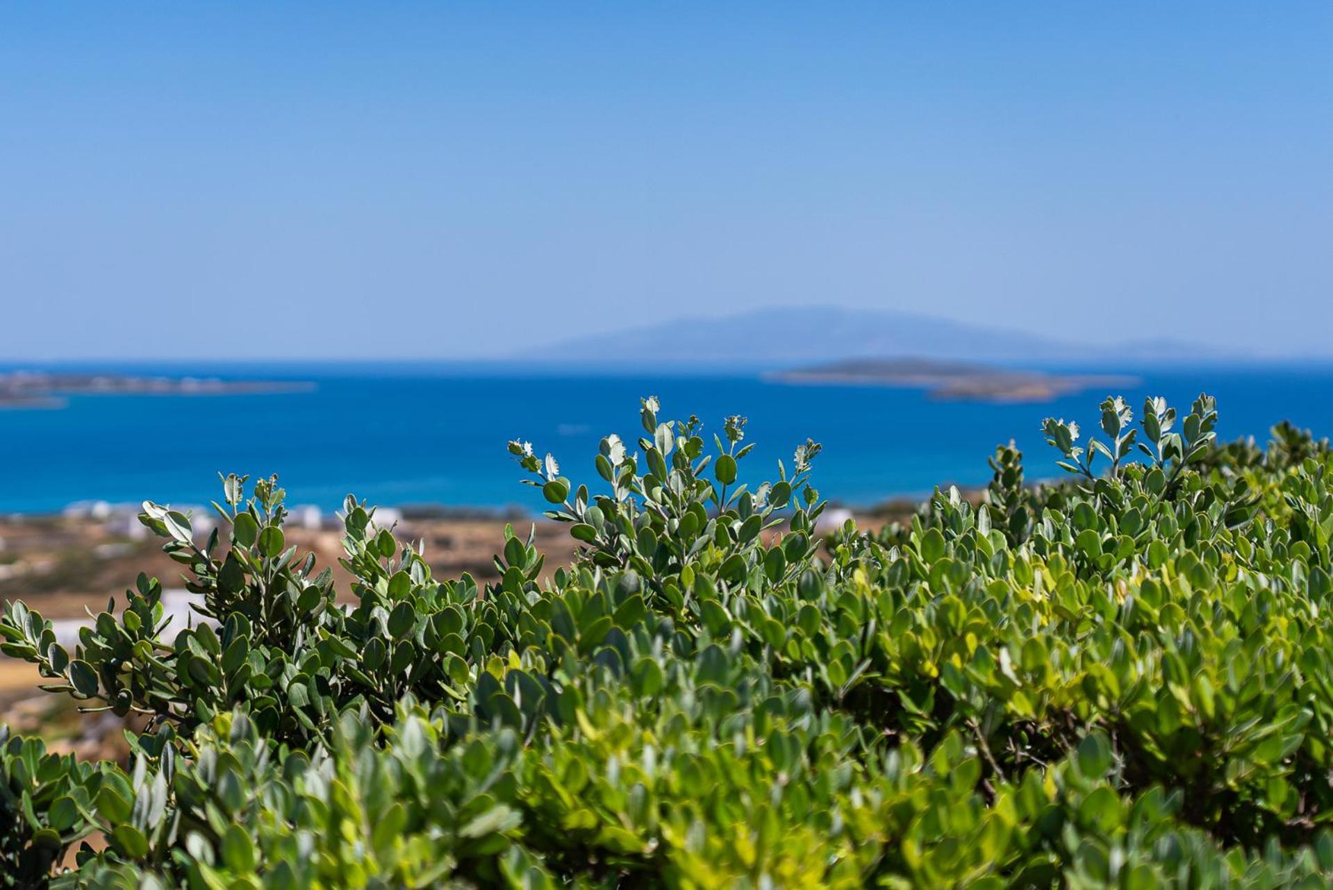 Lagadia Village Antíparos Habitación foto